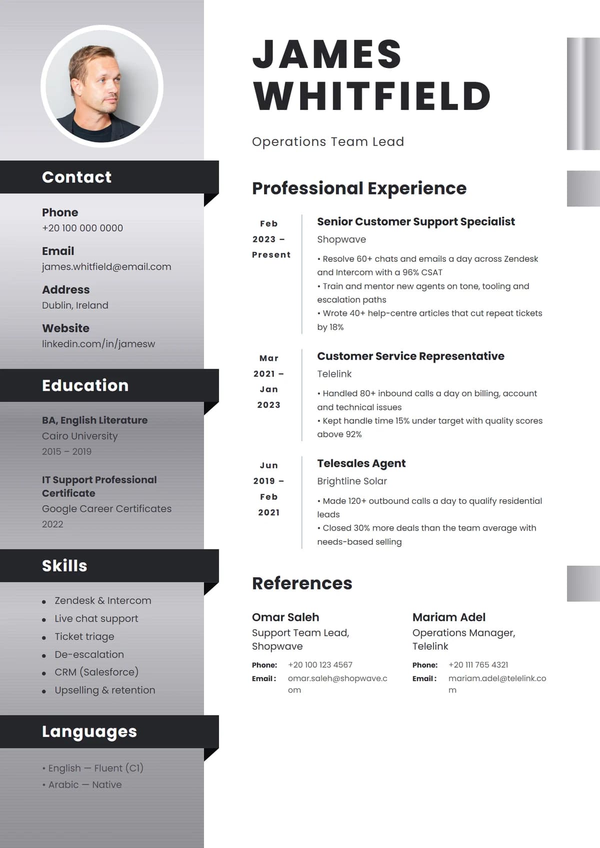 Platinum Edge resume template: brushed-silver sidebar with ribbon headings